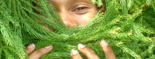 Communing with Nature and with the Wisdom of Plants Communing with Nature and with the Wisdom of Plants